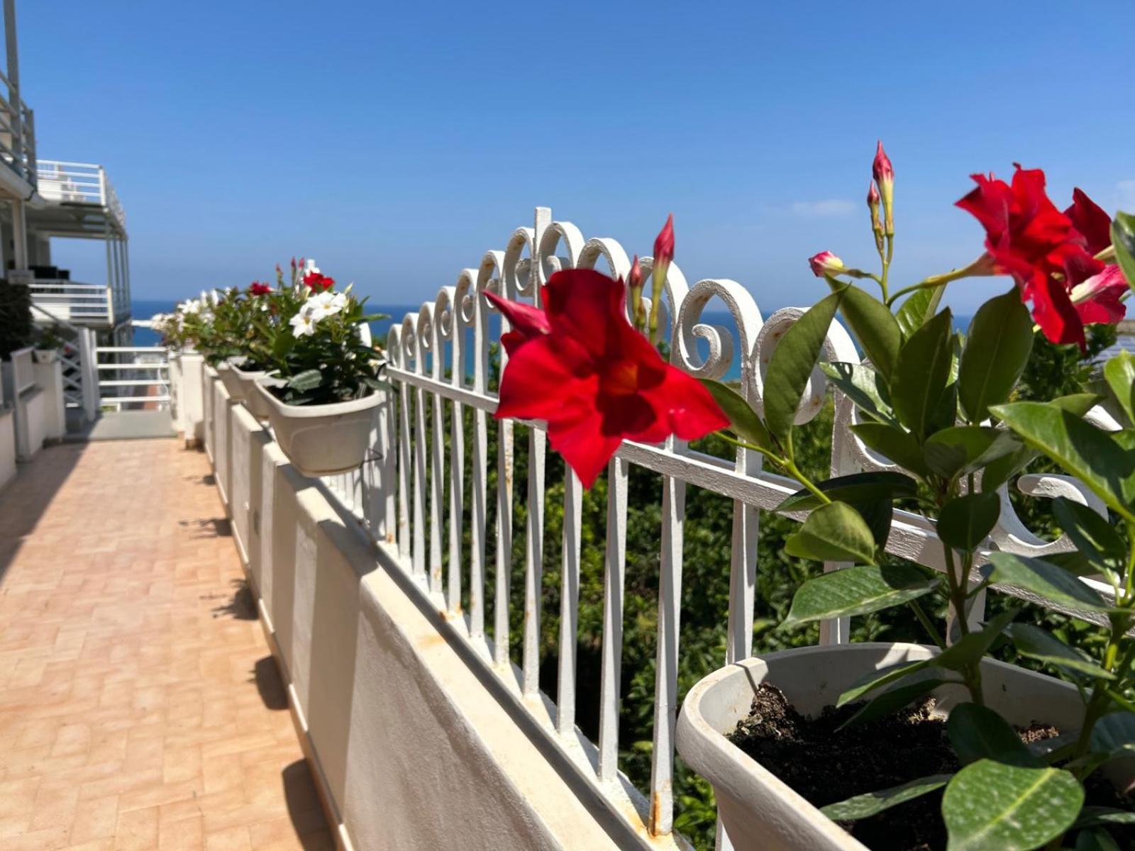 Mediterranean Boutique Hotel Tropea Esterno foto